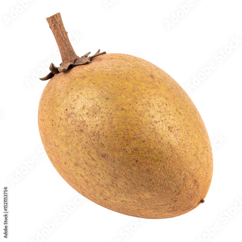 Sapodilla fruit with brown skin on transparency background