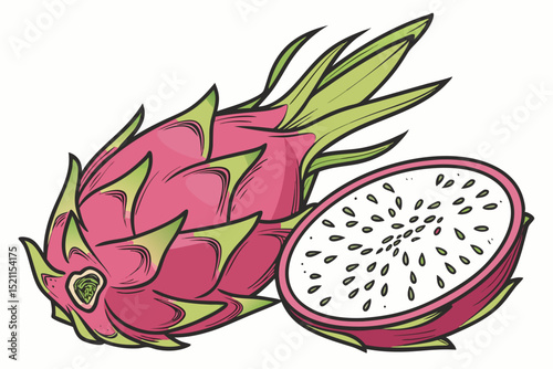 This detailed, hand-drawn-style illustration showcases a whole and a sliced dragon fruit vector art design