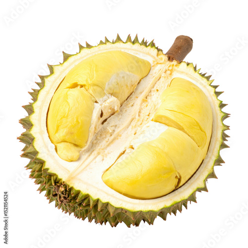 Durian fruit with spiky shell and creamy flesh