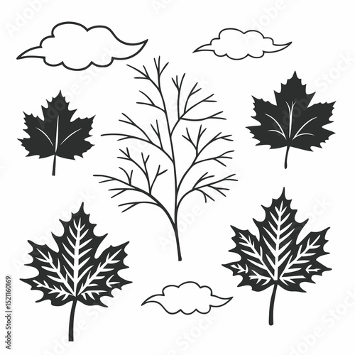 set of autumn leaves