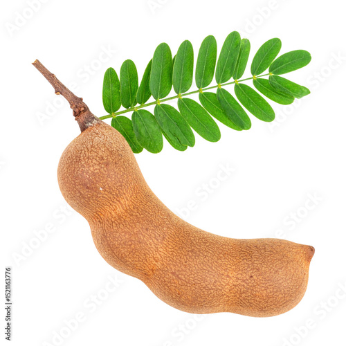 Tamarind pod with green leaves on transparency background