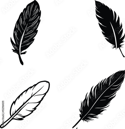 Feather Silhouette Symbol Set Featuring Four Unique Variations with Detailed Textures and Different Orientations—Representing Lightness, Flight, and Natural Elegance