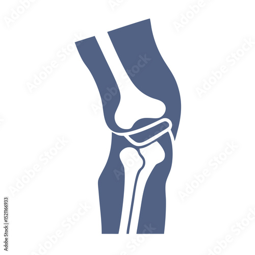 Human knee joint anatomy icon in blue with white bone illustration