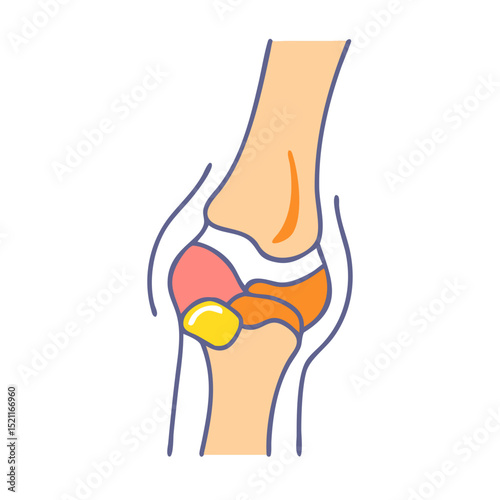 Anatomical knee joint icon with ligaments and bone detail