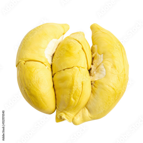 Durian fruit with yellow flesh, isolated on white
