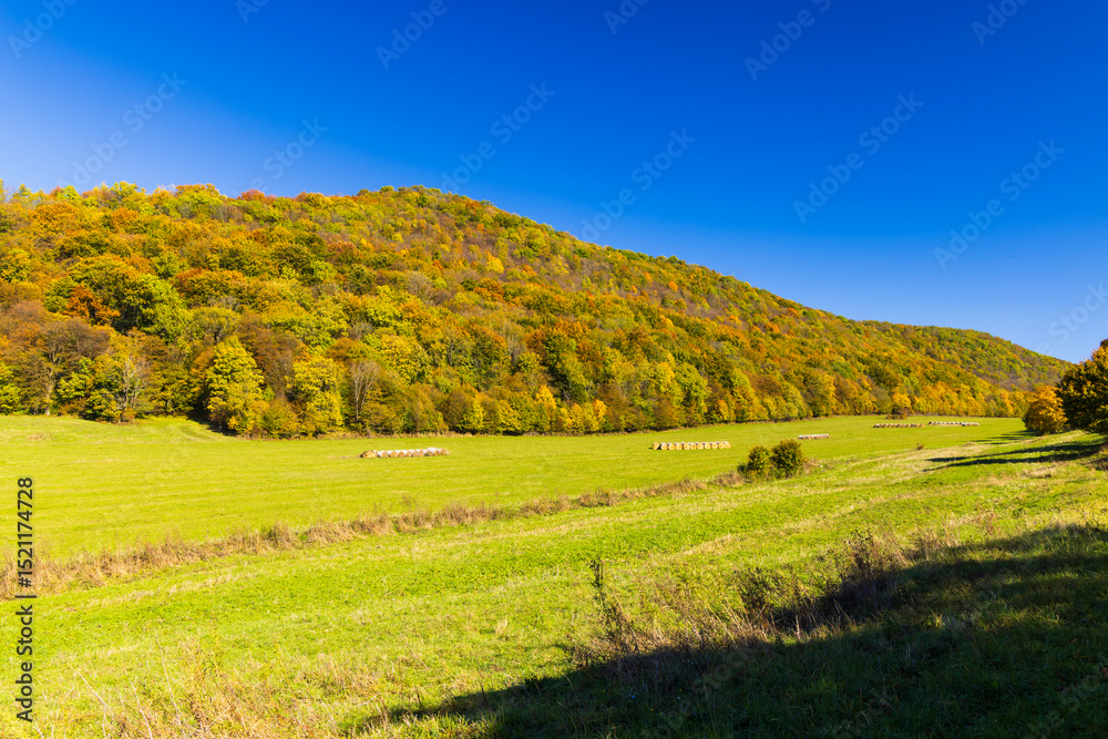 Fototapeta premium Colorful autumn forest covering the hills in Borka, Slovakia