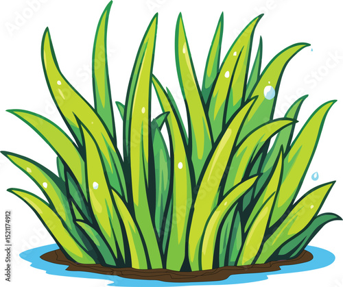 Illustrated Clump of Vibrant Green Grass with Dewdrops on Blades, Ground, and Puddle