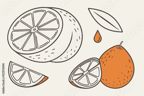 This charming illustration features a whole orange and two slices, rendered in a simple, hand-drawn style with a cheerful, refreshing vibe vector art design 