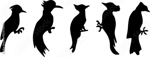 Woodpecker silhouette , Hand drawn black woodpecker on a tree trunk logo icon , forest bird,  woodpecker bird standing on a branch (Campophilus melanoleucus)