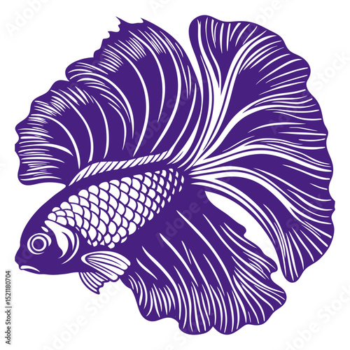 fighting fish