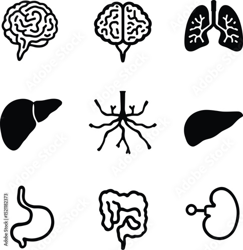 Comprehensive Set of Solid Black Icons Representing Human Organs and Anatomical Systems