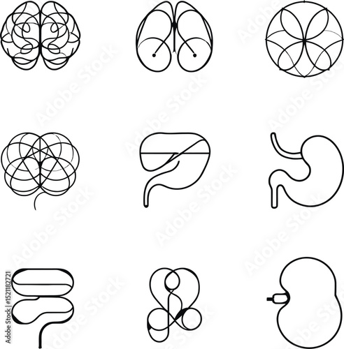 Set of Abstract Outline Icons Representing Human Organs and Biological Structures