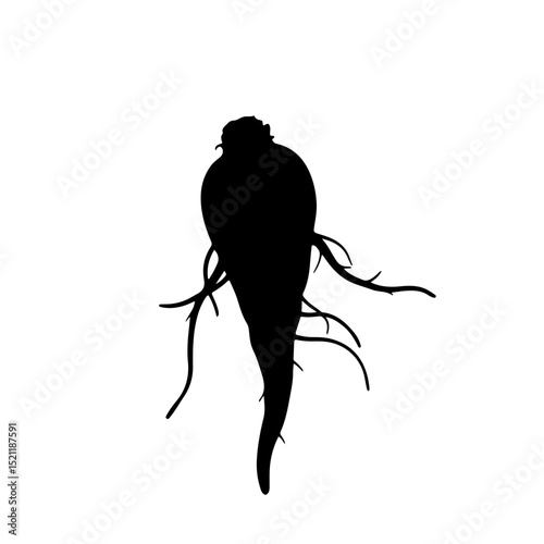 Silhouette of a parsnip root vegetable