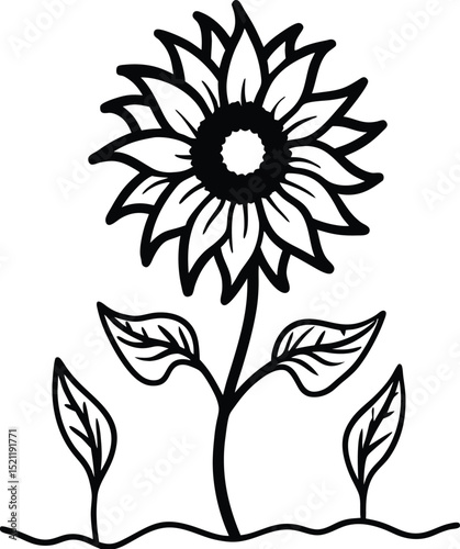 sunflower line art growing from soil with large petals and leaves perfect for garden nature illustrations and floral design elements
