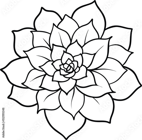 large blooming succulent flower in hand drawn line art style perfect for botanical illustrations natural decor and coloring projects