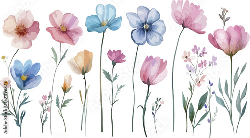 Watercolor Floral Illustration with Pastel Colored Flowers and Green Stems on a White Background Perfect for Spring and Summer Designs and Creative Projects
