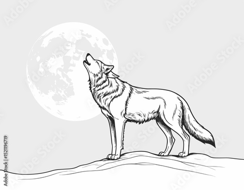 Curious Fox Silhouette Gazing with Intrigue in Sleek Line Art Form