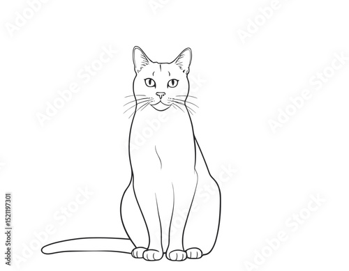 Curious Fox Silhouette Gazing with Intrigue in Sleek Line Art Form