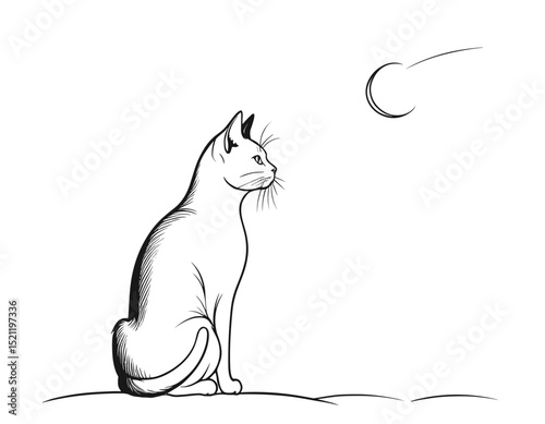 Curious Fox Silhouette Gazing with Intrigue in Sleek Line Art Form