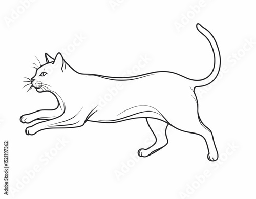 Curious Fox Silhouette Gazing with Intrigue in Sleek Line Art Form