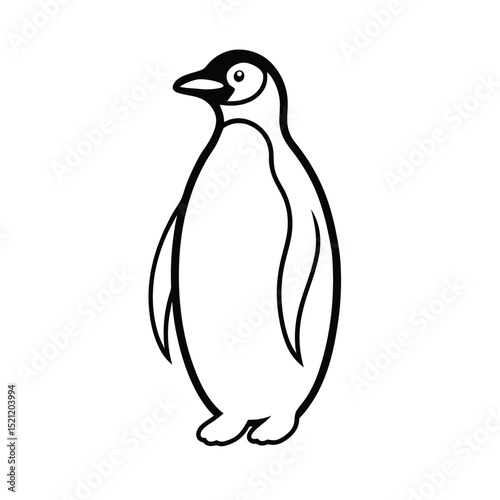 penguin on white background