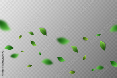 Flying green leaves.Fresh summer plant pattern.Vector illustration.On a transparent background.