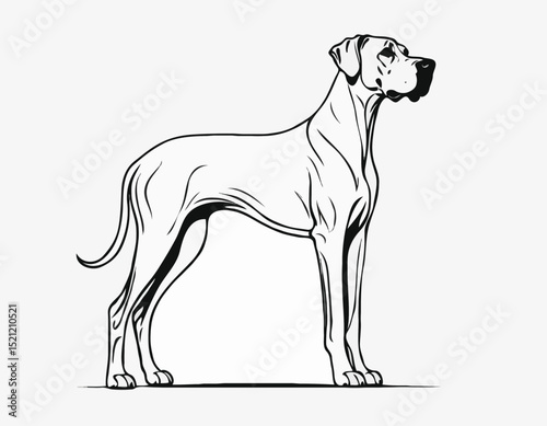 Majestic Great Dane Silhouette Outlines in Elegant Poses for Dog Lovers
