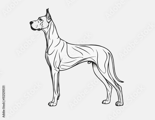 Majestic Great Dane Silhouette Outlines in Elegant Poses for Dog Lovers