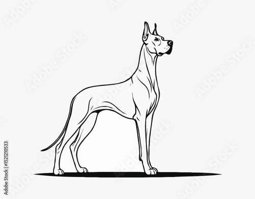 Majestic Great Dane Silhouette Outlines in Elegant Poses for Dog Lovers
