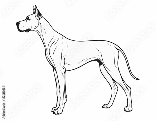Majestic Great Dane Silhouette Outlines in Elegant Poses for Dog Lovers