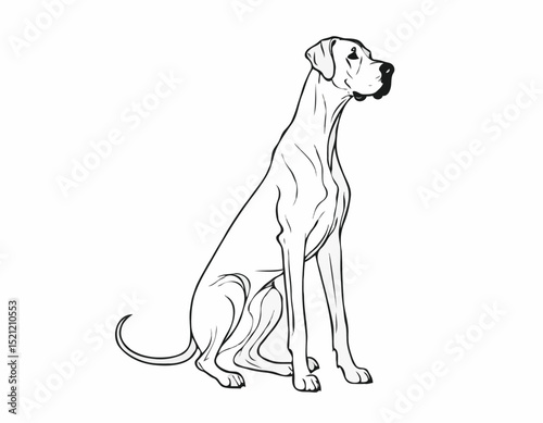 Majestic Great Dane Silhouette Outlines in Elegant Poses for Dog Lovers