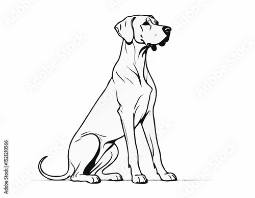 Majestic Great Dane Silhouette Outlines in Elegant Poses for Dog Lovers
