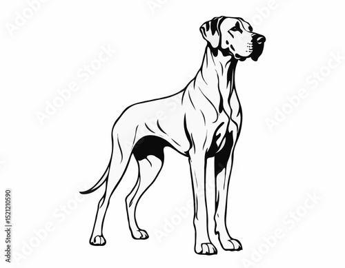 Majestic Great Dane Silhouette Outlines in Elegant Poses for Dog Lovers