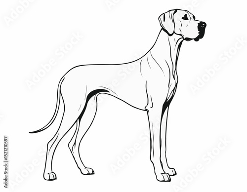 Majestic Great Dane Silhouette Outlines in Elegant Poses for Dog Lovers