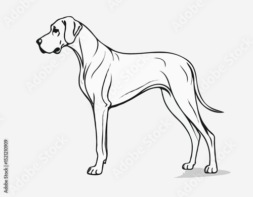 Majestic Great Dane Silhouette Outlines Set for Dog Lovers' Designs