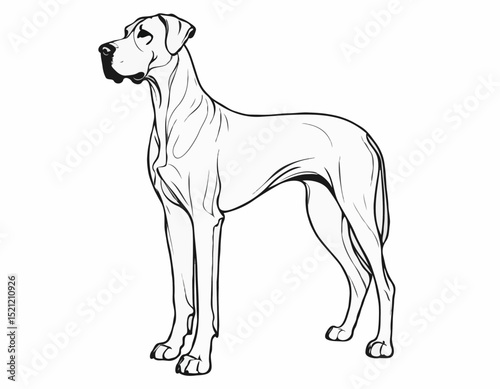Majestic Great Dane Silhouette Outlines Set for Dog Lovers' Designs