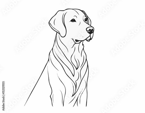 Regal Golden Retriever and Labrador Outline Illustrations for Posters