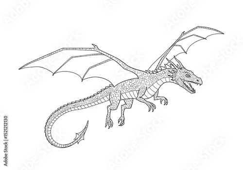 Fly dragon drawing. It is a detailed black and white outline image of a classic winged dragon in flight, perfect for coloring. Vector sketch line art draw.