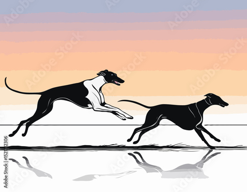 Graceful Greyhound Silhouettes Racing in Full Stride Against a Sunset Sky