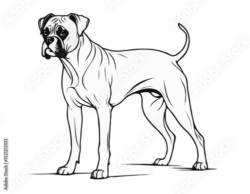 Bold Boxer Dog Outlines Capturing Strength and Loyalty in Every Pose