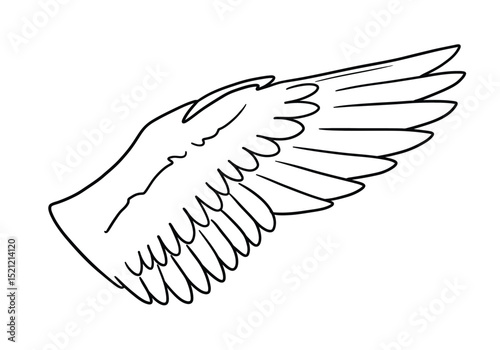 Duck wing drawing. It is a graceful black and white outline image of a single bird wing, ideal for adding to an avian creature. Vector sketch line art draw.