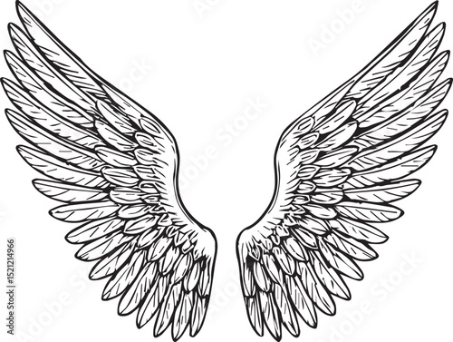 Feather Wings in the form of Angel Bird or Dragon Illustration in Vector Template