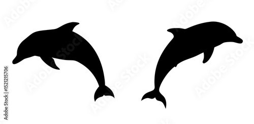 silhouette of dolphins