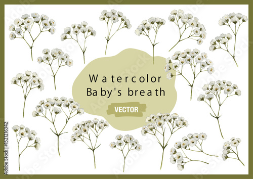 Vector watercolor Baby's breath / 水彩テイストのかすみ草イラスト