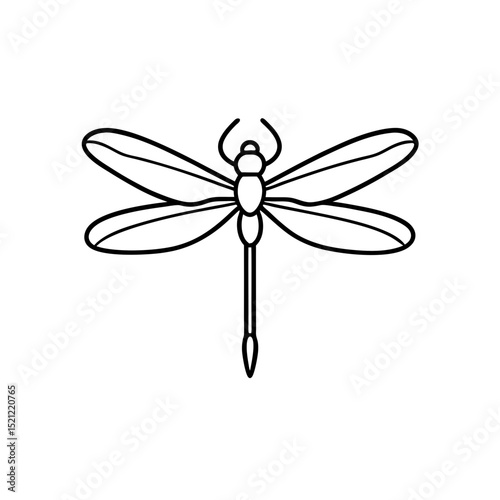 dragonfly illustration on white background   
