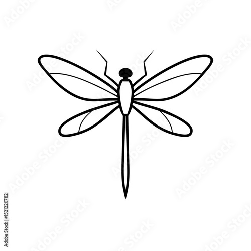 dragonfly illustration on white background  .svg