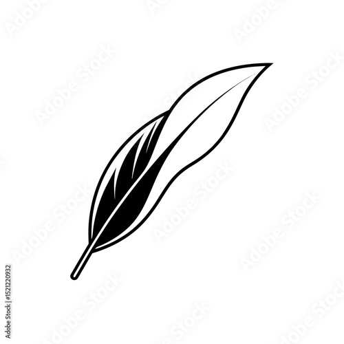 feather floating on white background   