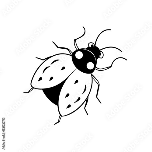 ladybug flying on white background  .svg