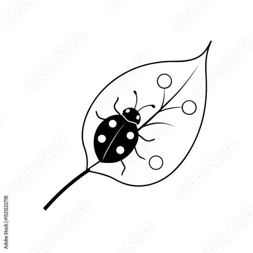 ladybug on leaf on white background  