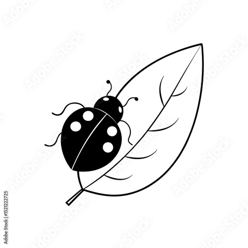 ladybug on leaf on white background  